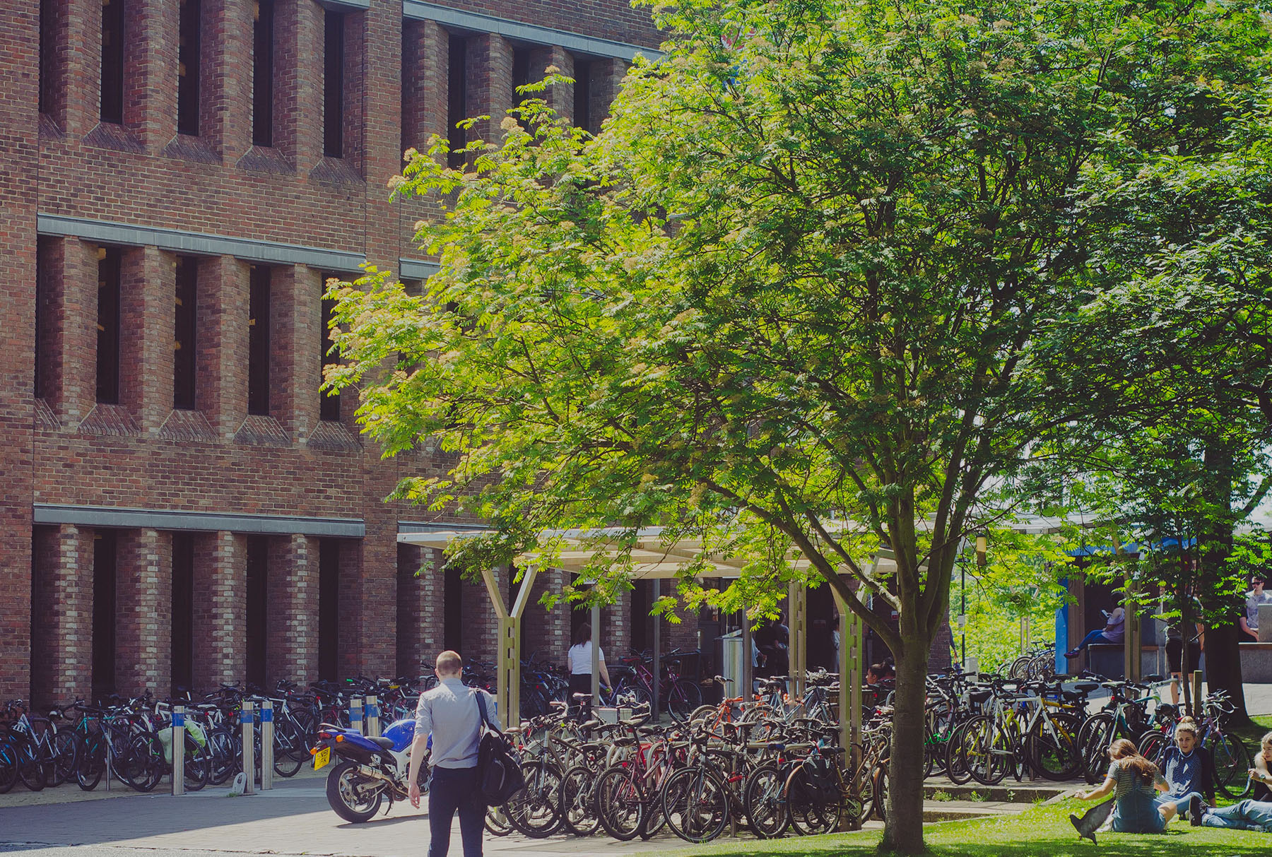 纽卡斯尔大学4.jpg