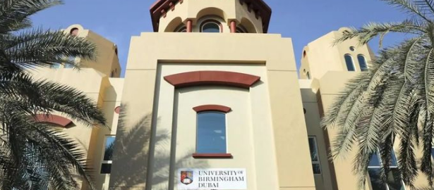 伯明翰大学 伯明翰大学