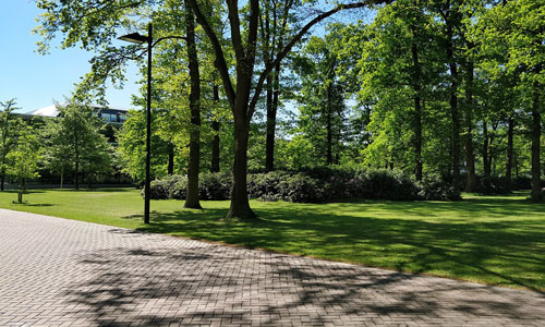 拉德堡德大学1.jpg 拉德堡德大学1.jpg