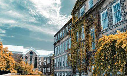 戴尔豪斯大学3.jpg