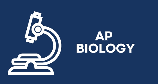 AP生物学 AP生物学