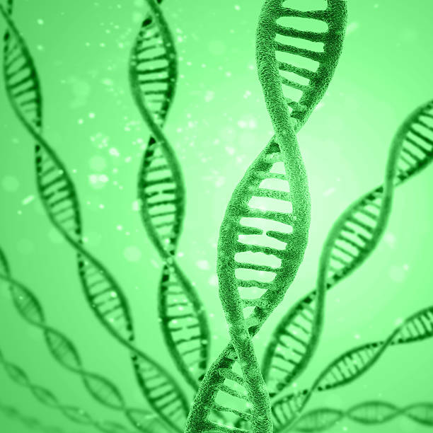 IB生物补习 IB生物补习