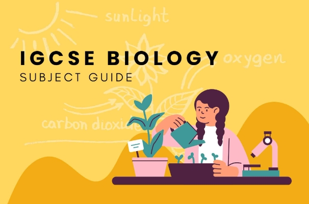 IGCSE生物辅导