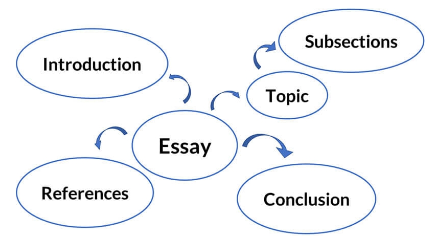 约克大学essay作业 约克大学essay作业