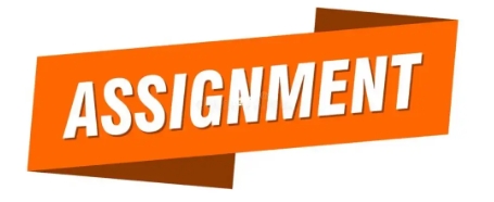 assignment课件辅导 assignment课件辅导