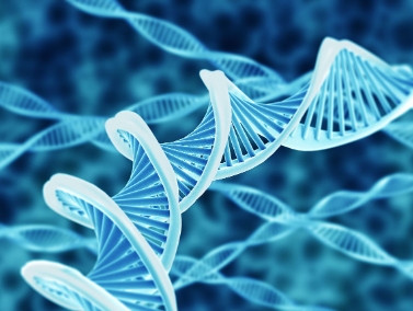 Biology一对一辅导