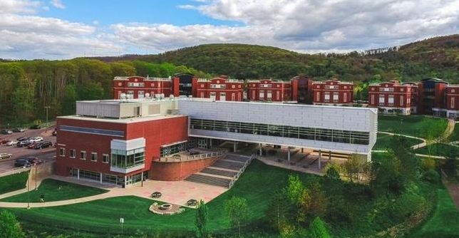 Binghamton University SUNY课业辅导