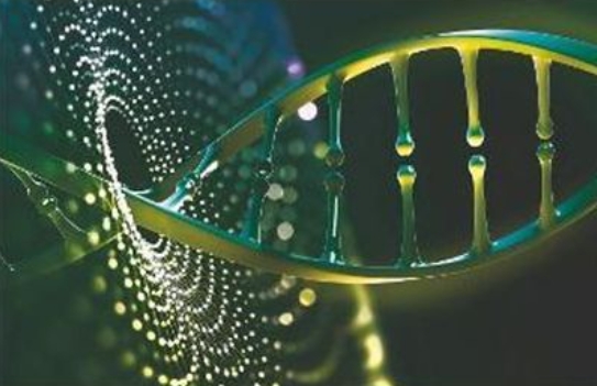 Bioinformatics辅导