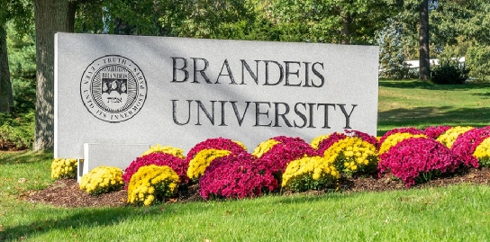 Brandeis University课业辅导 Brandeis University课业辅导