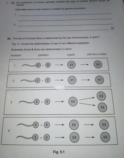 IGCSE科学辅导找哪个机构好呢?