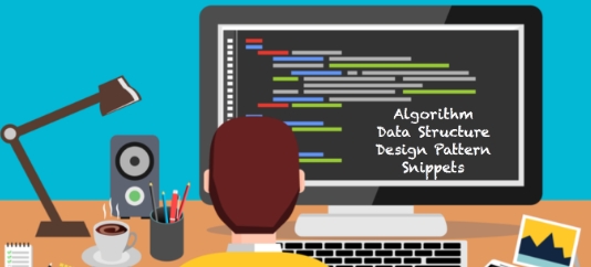 DataStructures and Algorithm辅导