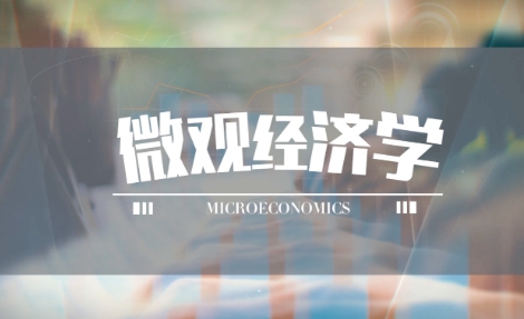 APMicroeconomics一对一辅导 APMicroeconomics一对一辅导