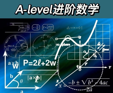 aleve进阶数学辅导 aleve进阶数学辅导