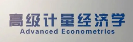 Advanced econometrics辅导 Advanced econometrics辅导