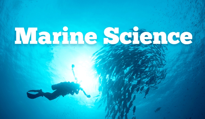 英国本科海洋科学专业 英国本科海洋科学专业
