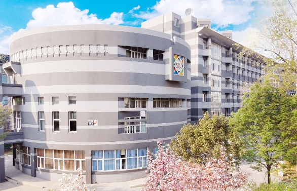 布鲁内尔大学辅导