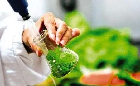 澳洲食品科学辅导 澳洲食品科学辅导