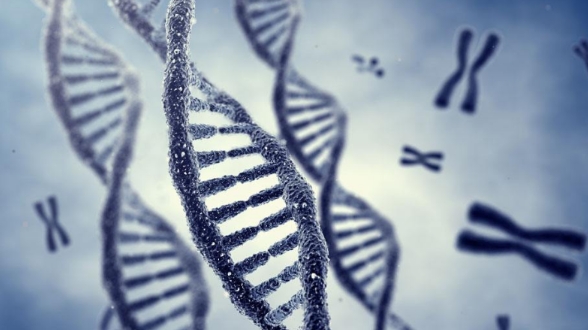 AP生物辅导 AP生物辅导