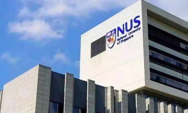NUS辅导