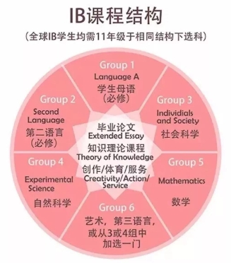 ibdp辅导 ibdp辅导