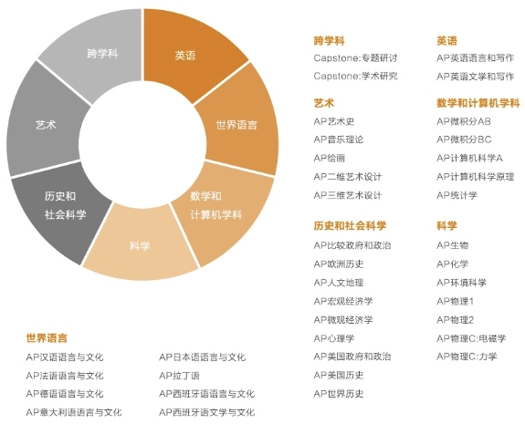 AP课程线上辅导