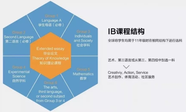 IB写作辅导