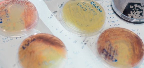 伦敦大学biochemical engineering 伦敦大学biochemical engineering