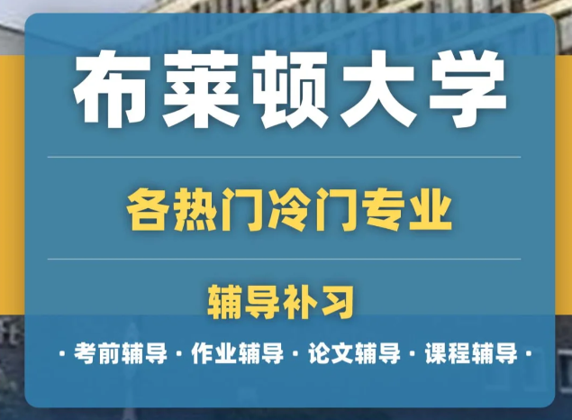布莱顿大学课程辅导