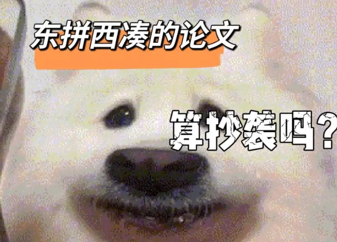 1713263822584.jpg