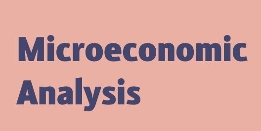 HKU ECON6021考试辅导 HKU ECON6021考试辅导