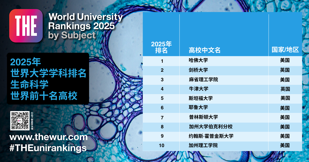 2025年泰晤士高等教育世界大学学科排名重磅揭晓 2025年泰晤士高等教育世界大学学科排名重磅揭晓