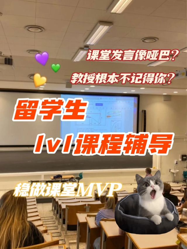 美国课程1v1辅导.png