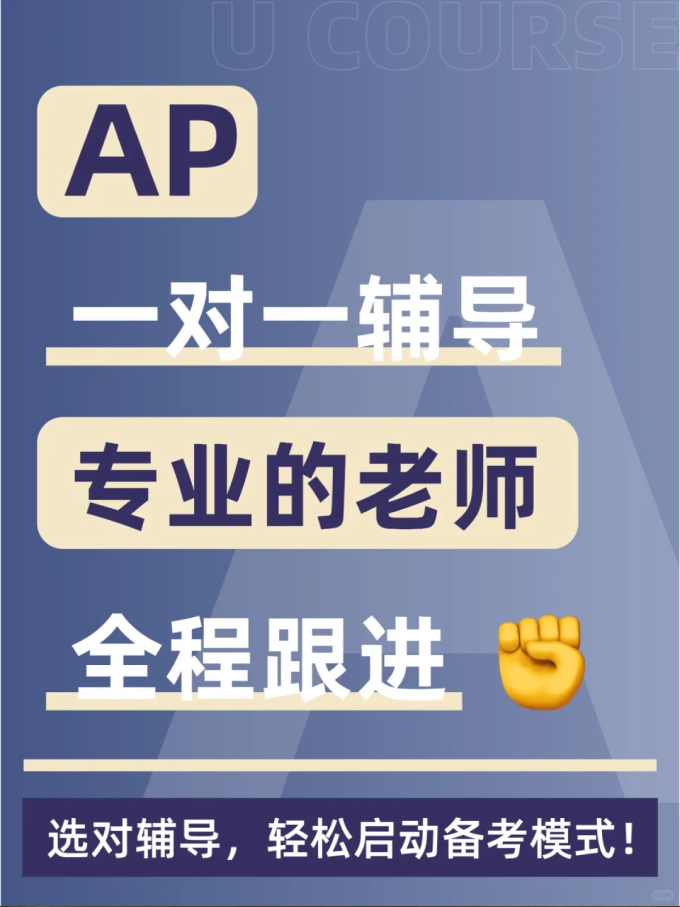 AP一对一课程辅导.png