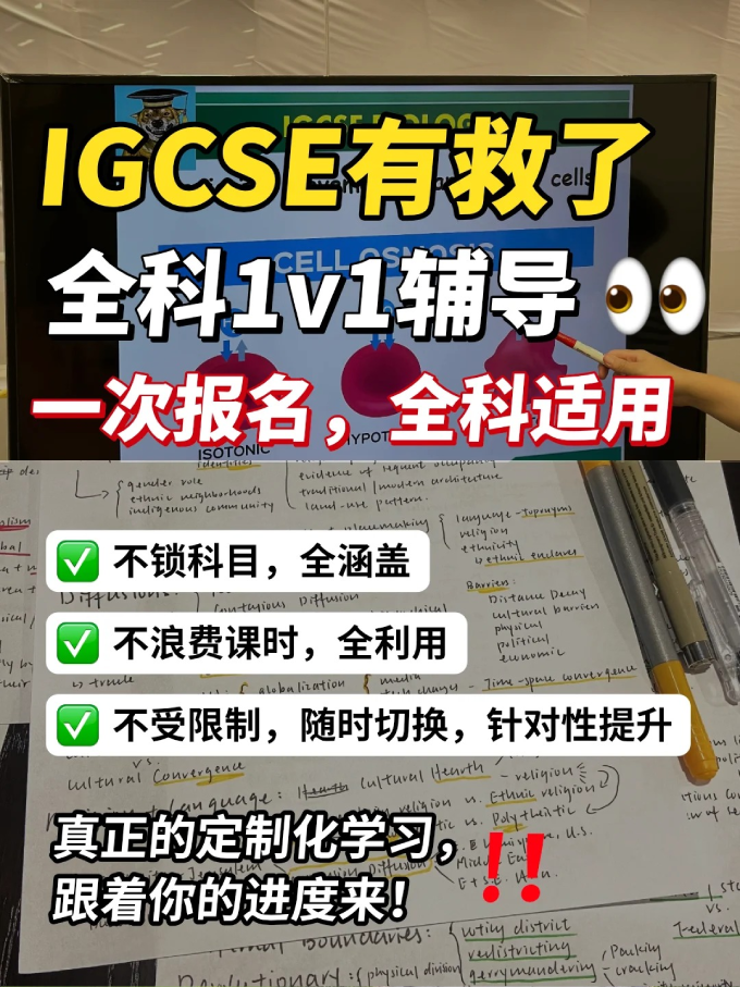 IGCSE课程辅导.png