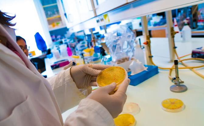西浦大二生物科学辅导