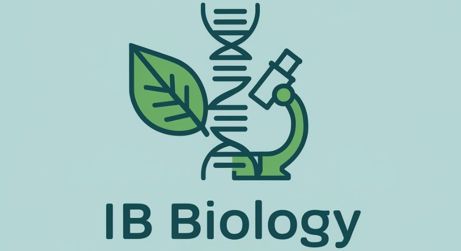IB生物HL