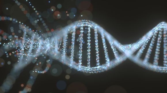 奥大本科Biological Sciences预习 奥大本科Biological Sciences预习