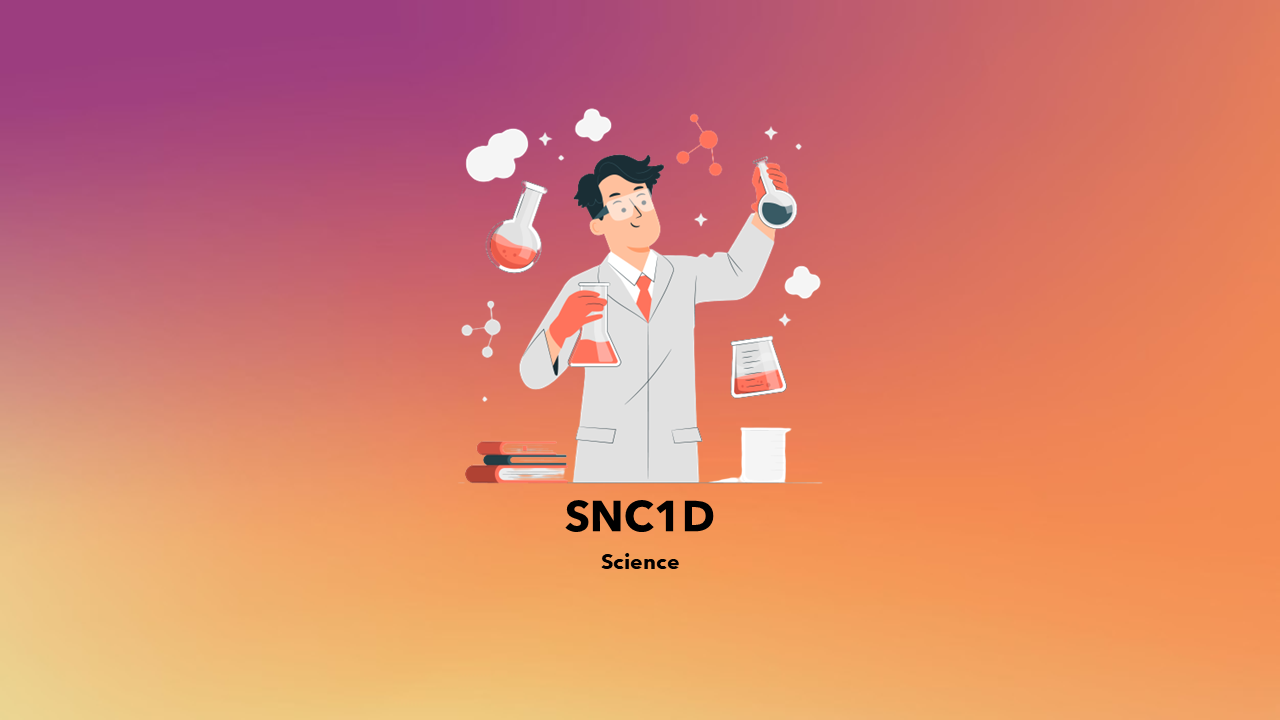OSSD科学课程辅导 OSSD科学课程辅导